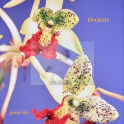 Orchids