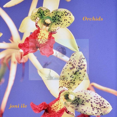 Orchids