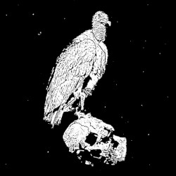A Circle of Vultures