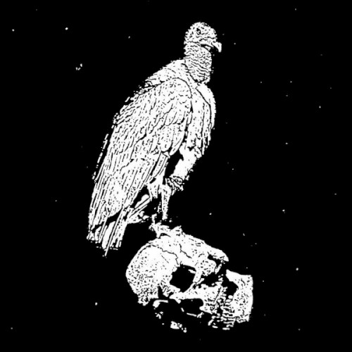 A Circle of Vultures