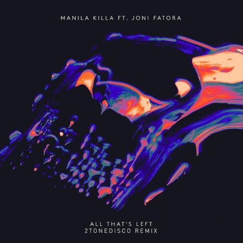 All That's Left (2ToneDisco remix)