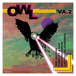 Owl 2