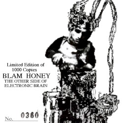THE OTHER SIDE OF ELECTRONIC BRAIN