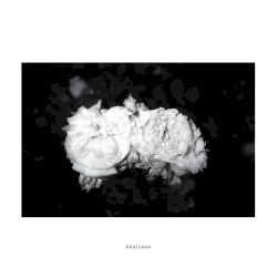 R0012444