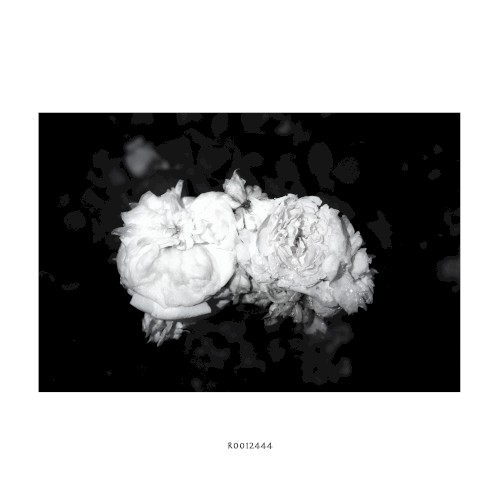 R0012444