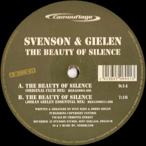 The Beauty Of Silence