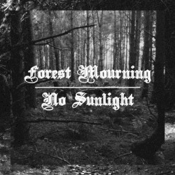 No Sunlight