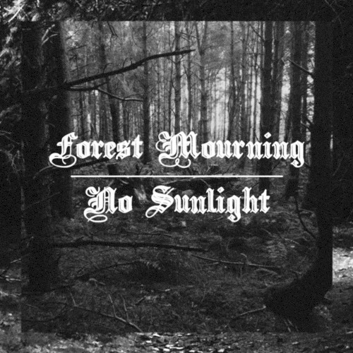 No Sunlight