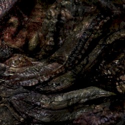 Exsciccation