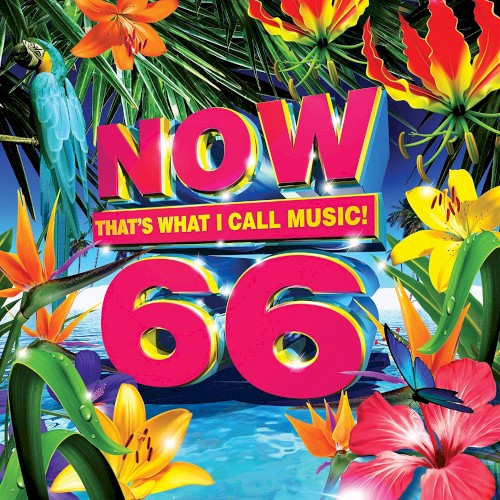 Now That’s What I Call Music! 66