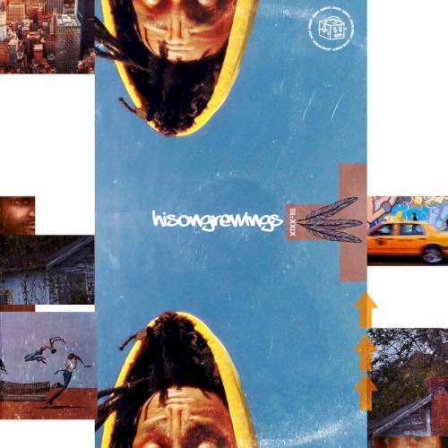 HiSonGreWings
