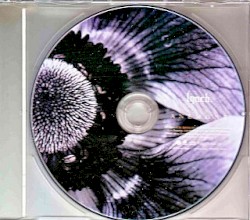ANEMONE