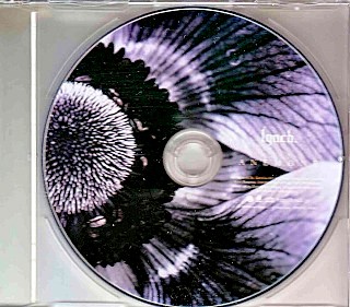 ANEMONE