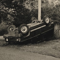 Telephone Pole