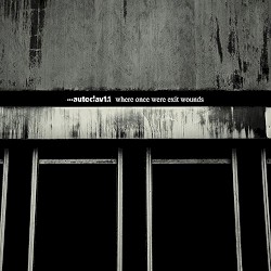 Where Once Were Exit Wounds