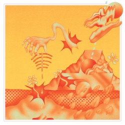 Nearest Suns