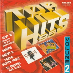 Top Hits 95, Volume 2