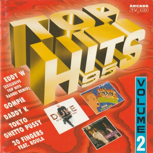 Top Hits 95, Volume 2