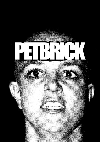 Petbrick
