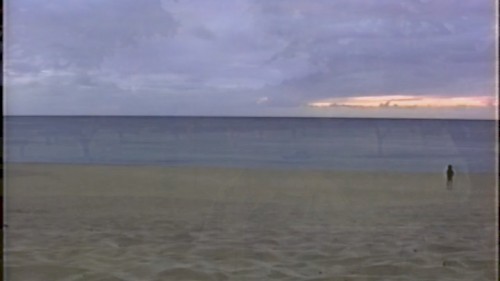 Figure the Shoreline