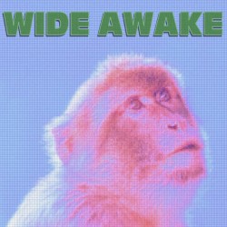 Wide Awake