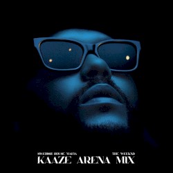 Moth to a Flame (KAAZE Arena mix)