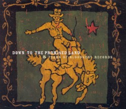Down to the Promised Land: 5 Years of Bloodshot Records