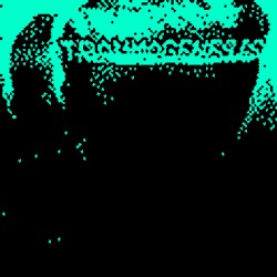 angelo (demo)