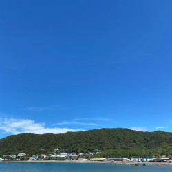 Hayama Ambient 039