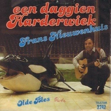 Een daggien Harderwiek