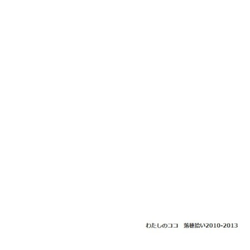 落穂拾い2010-2013