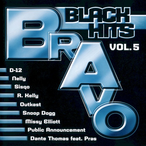 Bravo Black Hits, Vol. 5