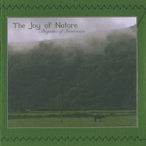 Auguries of Innocence / Meandering in Streams of Reflection