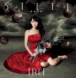 STEEL —鉄血の絆—