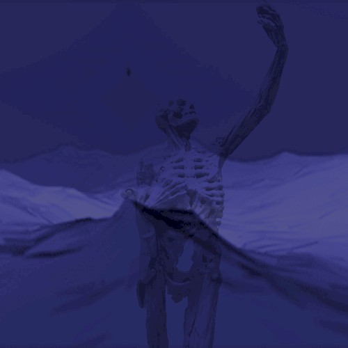 Electric Dreams // CAIME0 Split