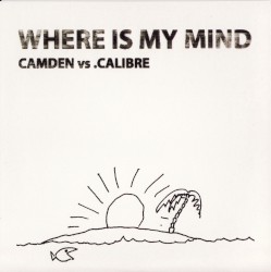 Where Is My Mind