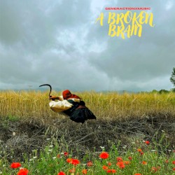 A Broken Brain