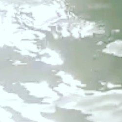 E2021
