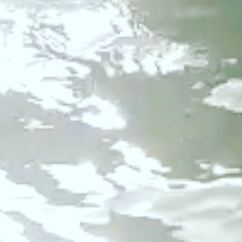 E2021