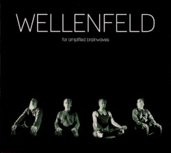 Wellenfeld