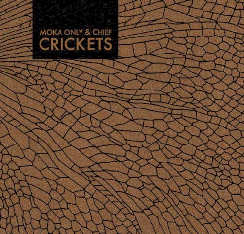 Crickets