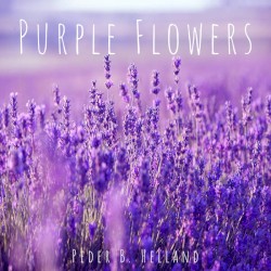 Purple Flowers