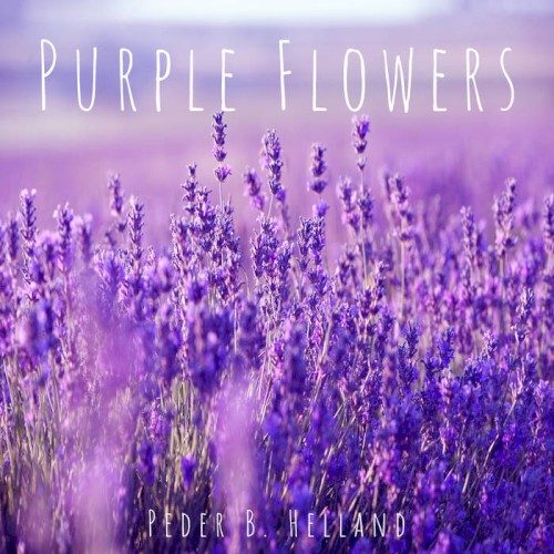 Purple Flowers