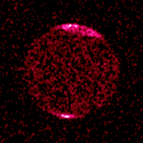 [untitled]