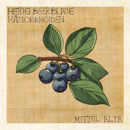 Heidelbeerblaue Hämorrhoiden