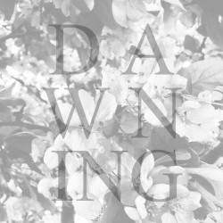 Dawning