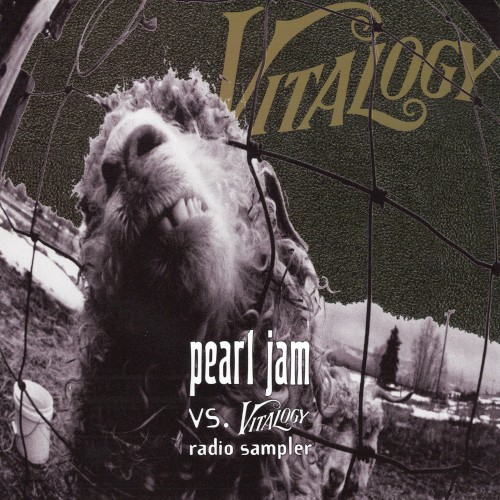 Vs. / Vitalogy Radio Sampler
