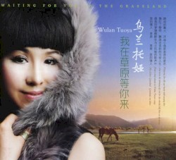 我在草原等你来