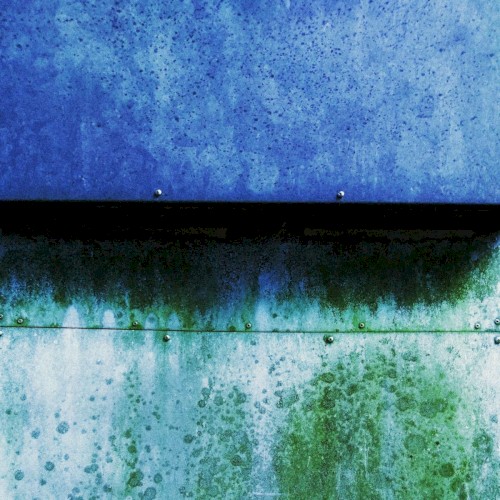 Garden of Flowers EP