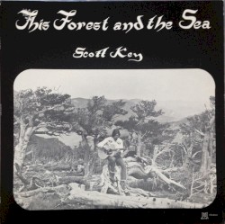 This Forest And The Sea